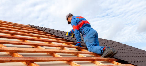 Best Metal Roofing Installation  in Homer, AK