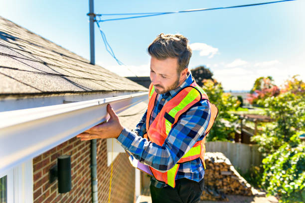 Best Sheet Metal Roofing  in Homer, AK