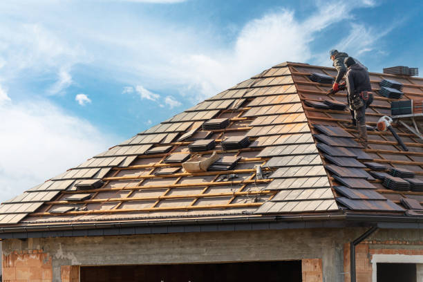Best Emergency Roof Repair Services  in Homer, AK